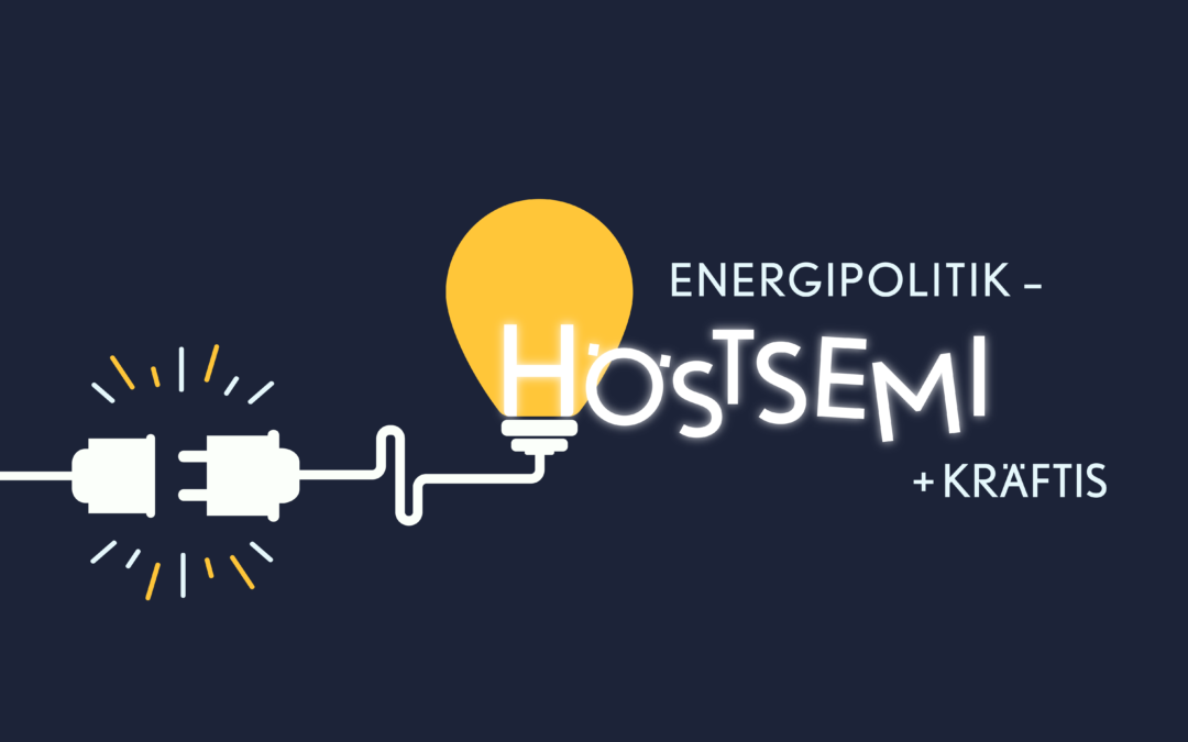 Energipolitik – Svensk Ungdoms höstseminarium med kräftis
