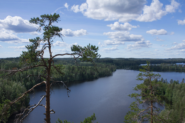 SvenskUngdom_Klimat